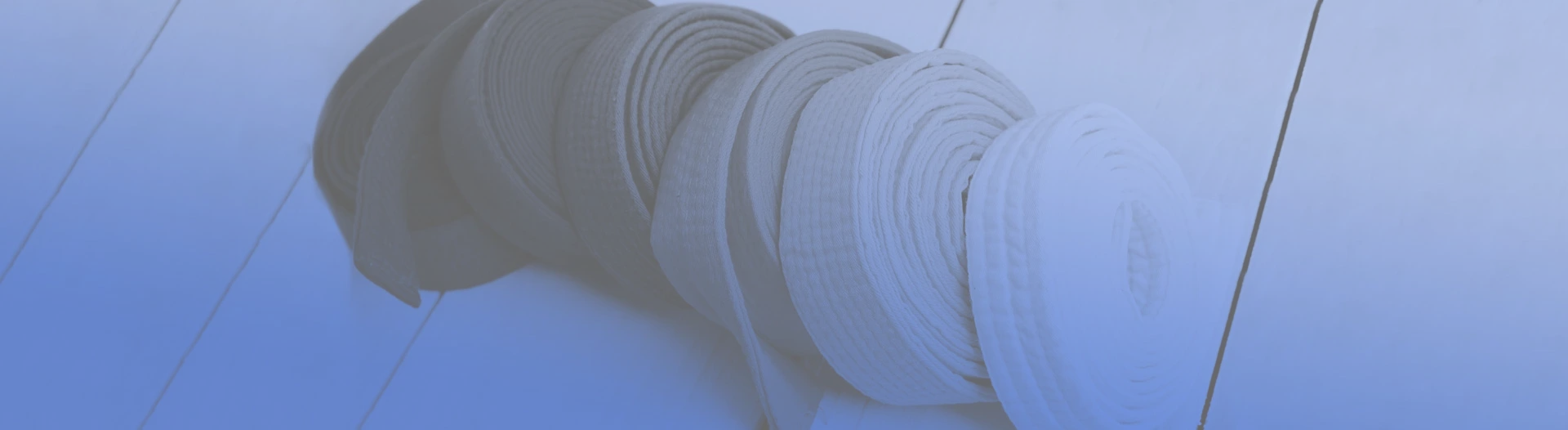 Global BJJ gym