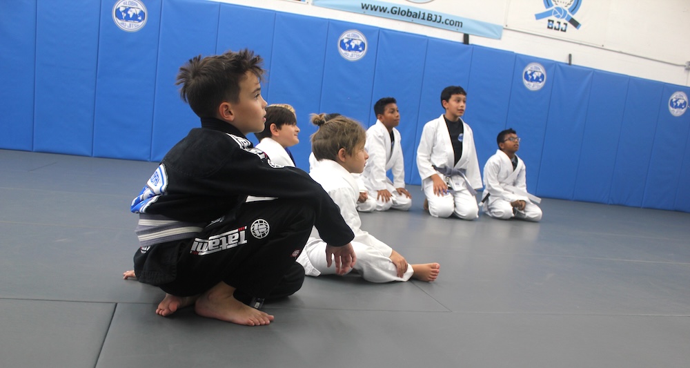 Global BJJ community